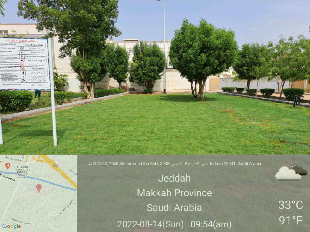4- Photo of the South and Melissa project